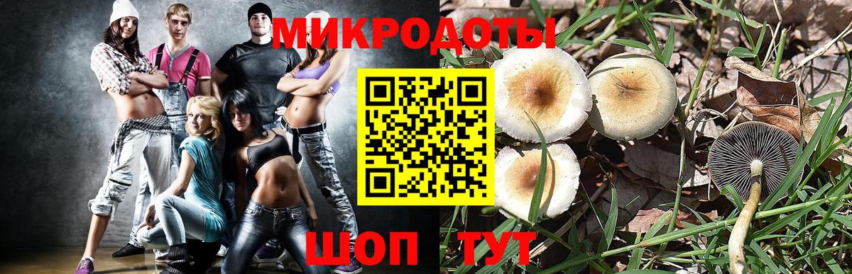 Похвистнево  где можно купить   Вход с VPN  Галлюциногенные грибы мицелий 